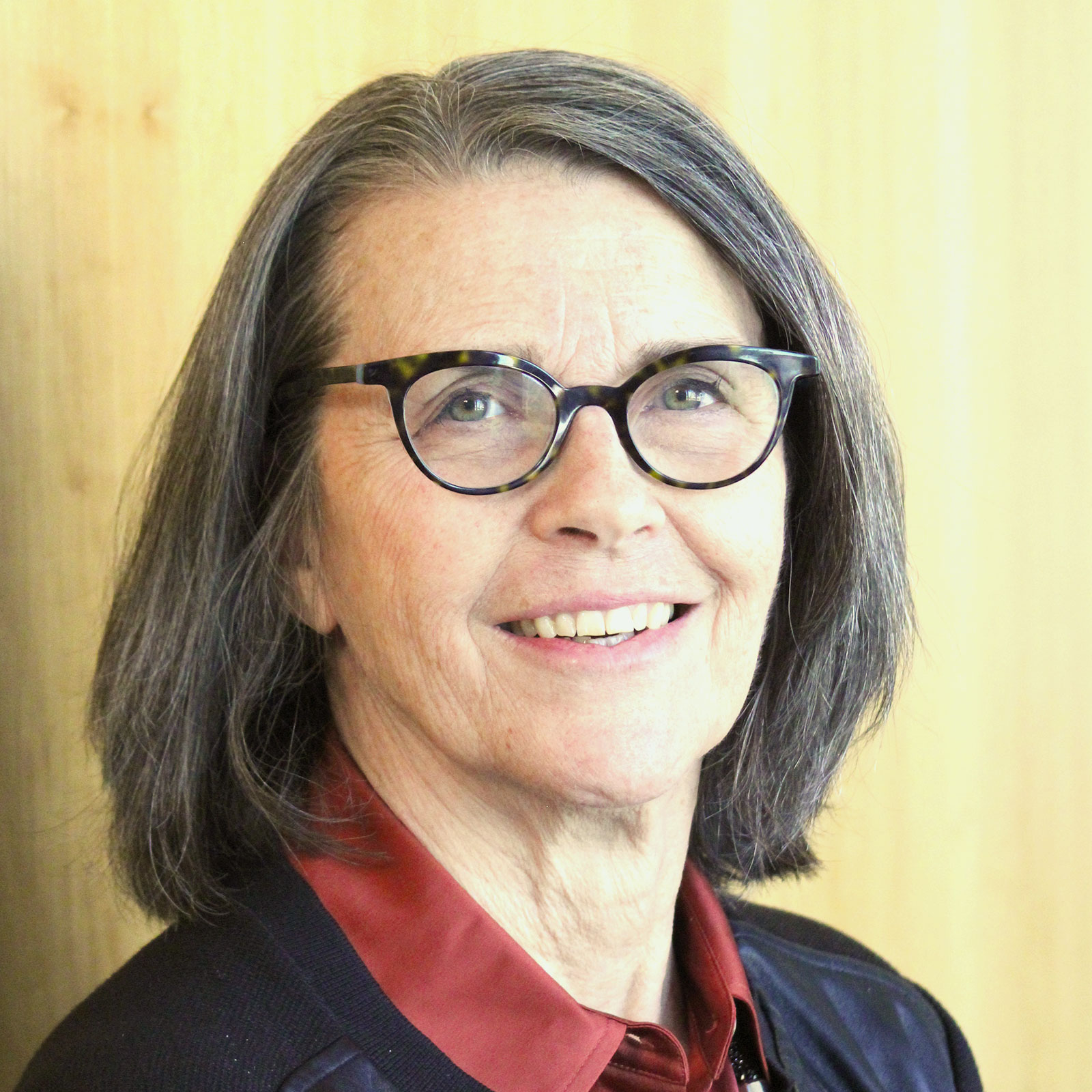 Mary Shapiro