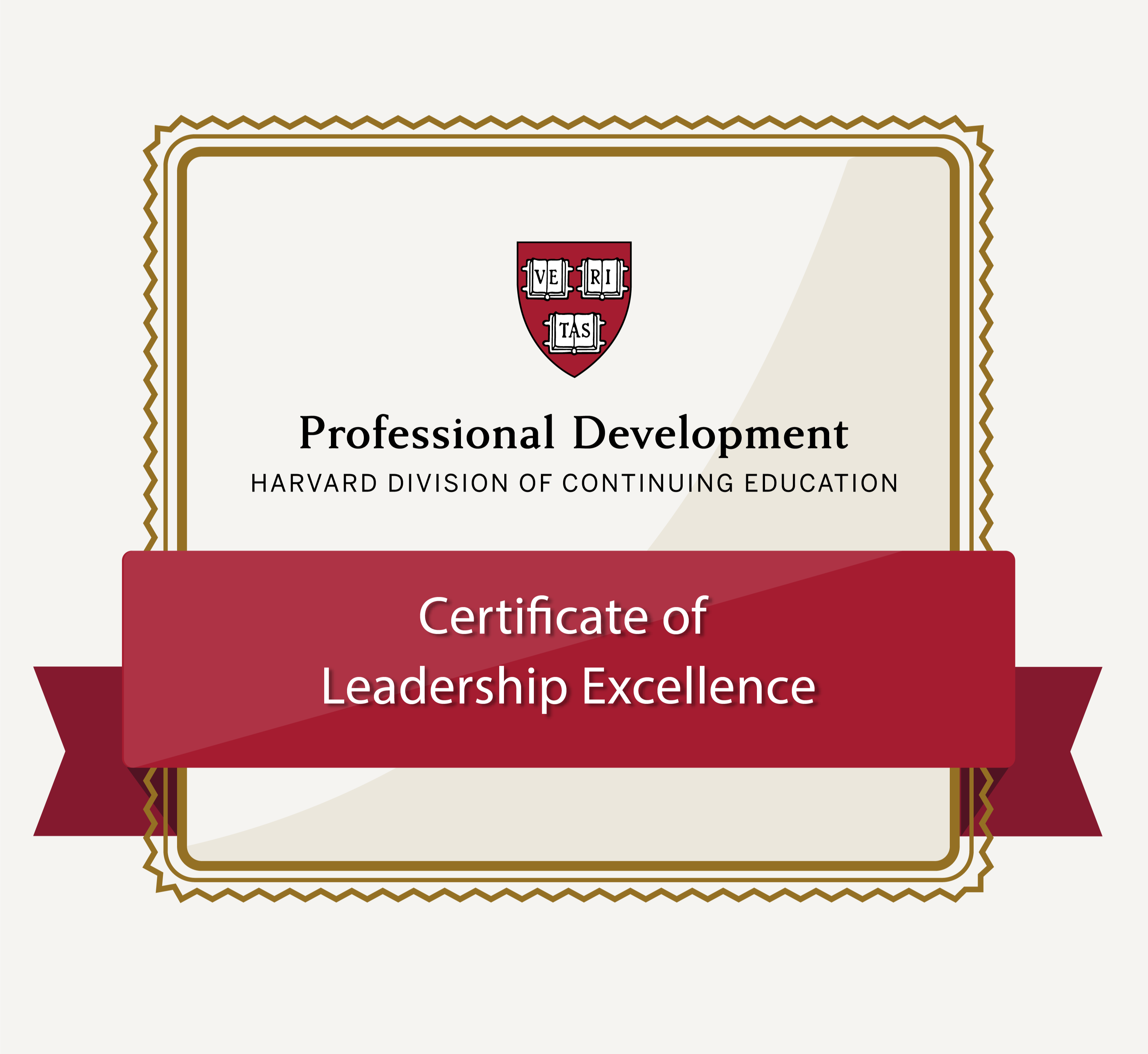 Certificates of Leadership Excellence Professional Development