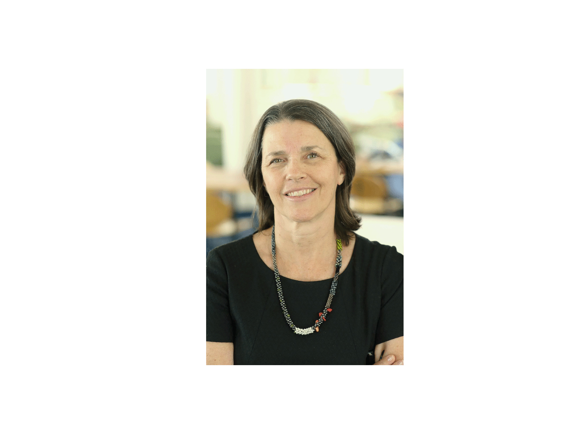 Mary Shapiro